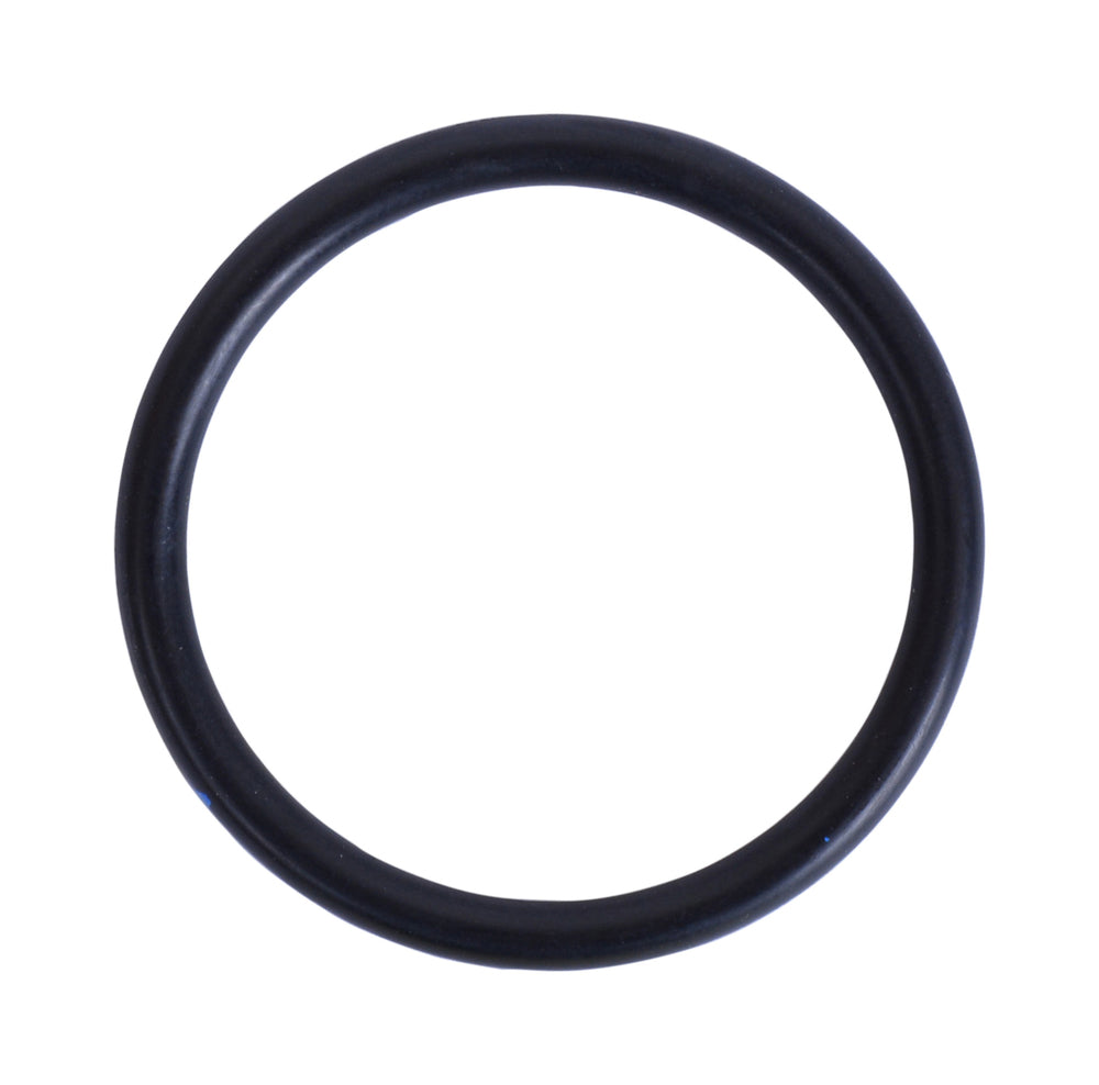 O-Ring 1"   213506-1